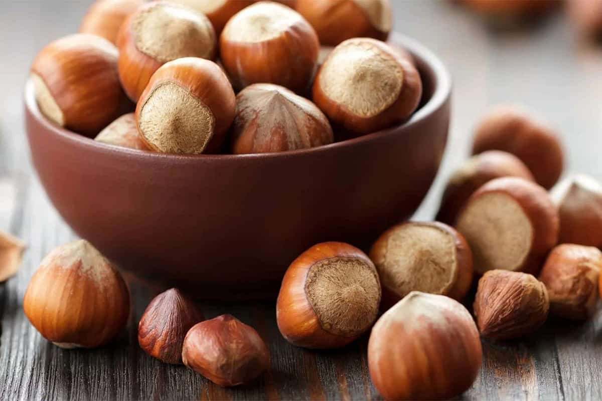 The Benefits of Hazelnuts