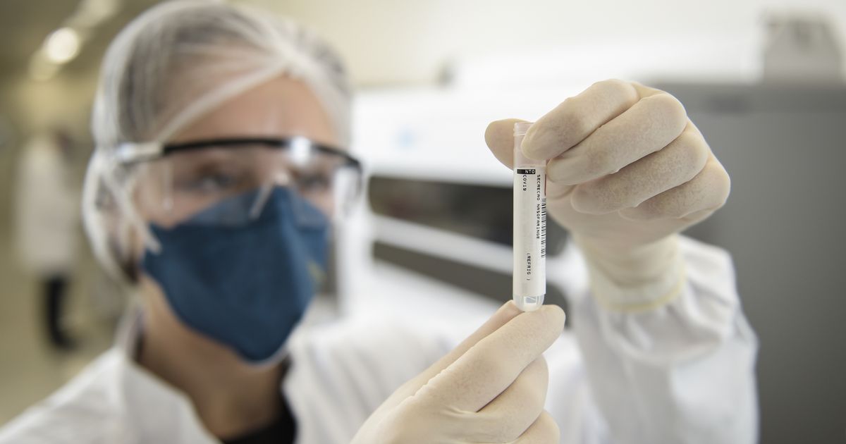 What is PCR Test?