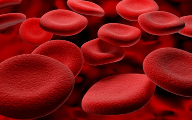 ​Blood Incompatibility Needle