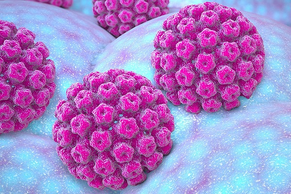 What is the HPV virus?