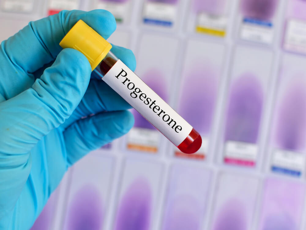 What is the hormone progesterone?