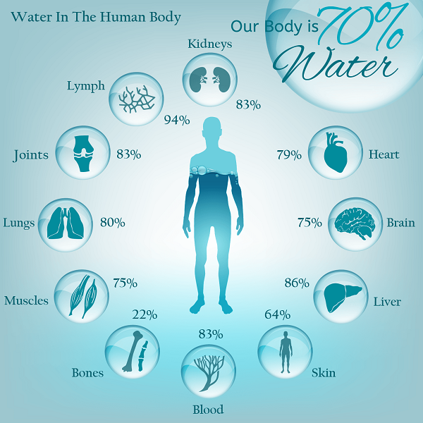 Effects of water on the body