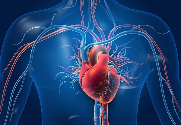 What is Coronary Bypass Surgery?