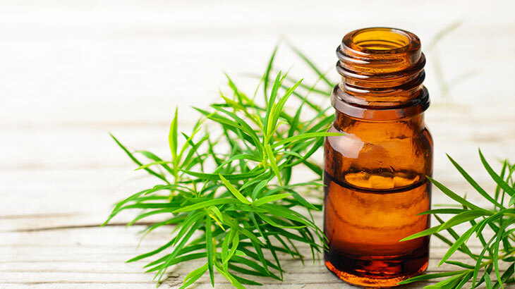 What is Tea Tree Oil?