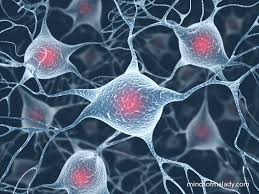 What is ALS disease?