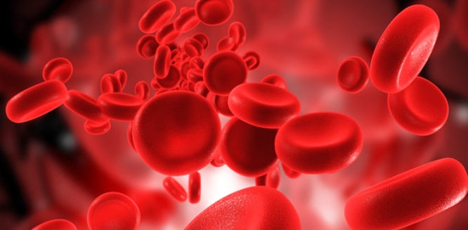 What is sepsis?