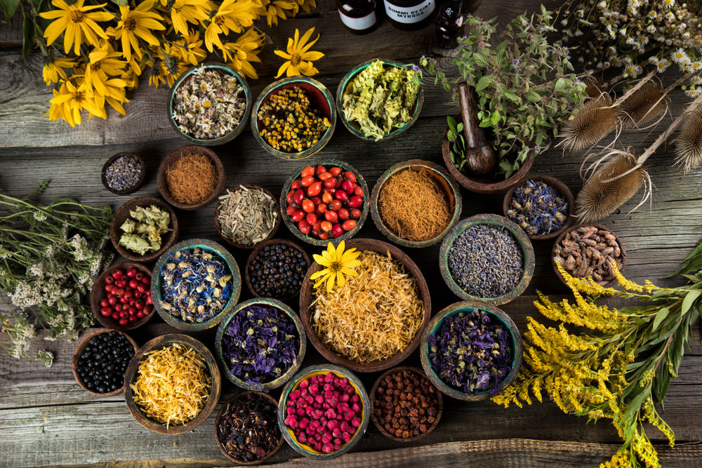 ​What is Phytotherapy?