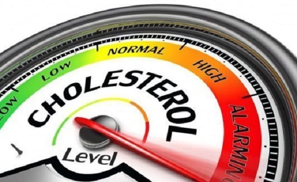 What Are the Symptoms of Cholesterol?
