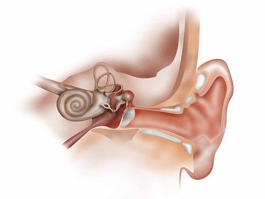 What is Otosclerosis Disease?