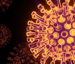 What is the BA2 variant