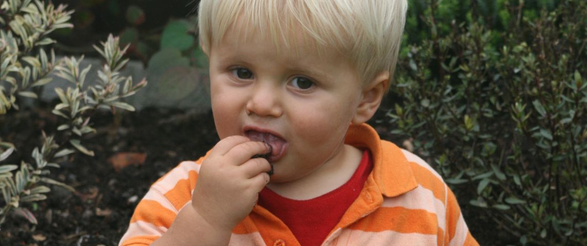 Pica Syndrome: What is It and Why Does It Happen?