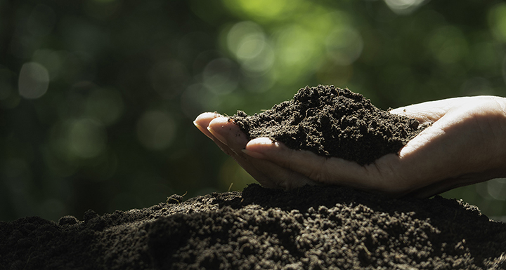 ​  What is Pica Syndrome?