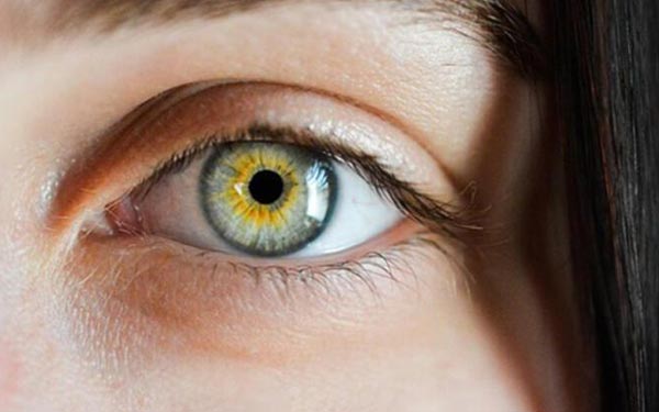 What is Yellow Spot Disease?