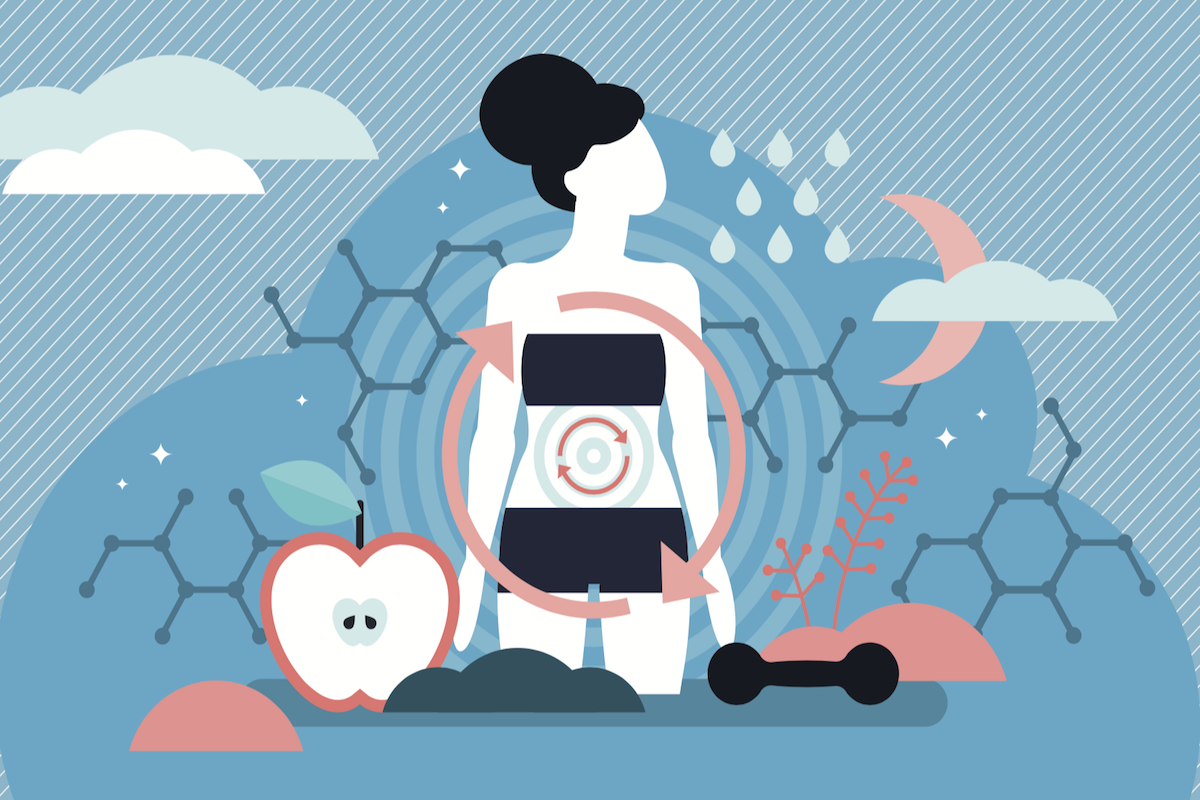 ​Basal Metabolic Rate